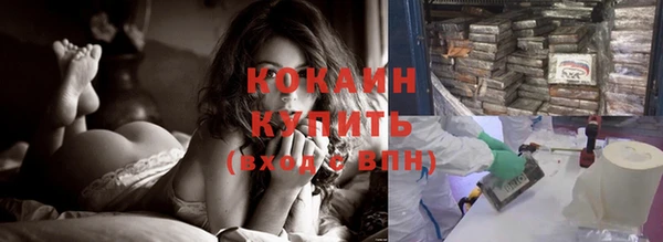стаф Аркадак
