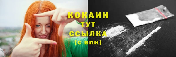 стаф Аркадак