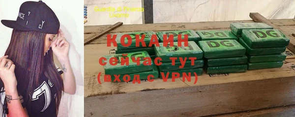 стаф Аркадак