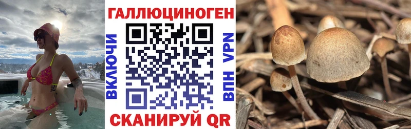 Галлюциногенные грибы Cubensis  Волгодонск 