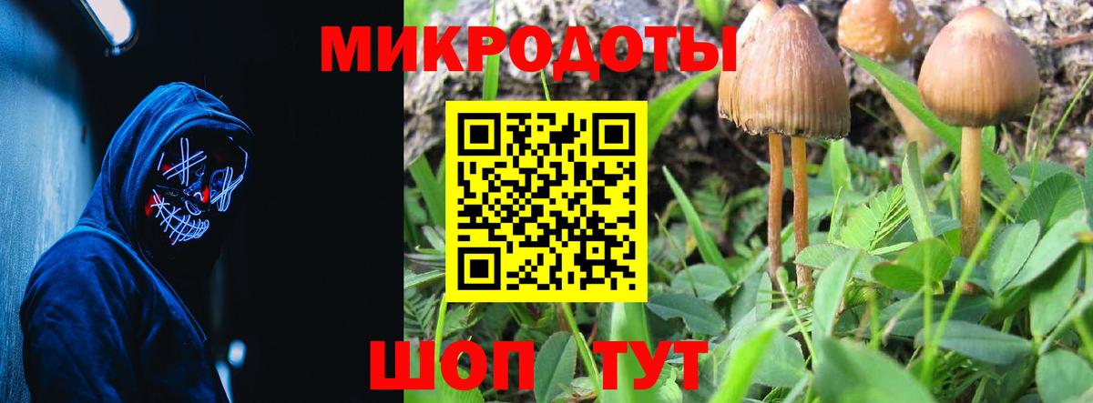 Волгодонск  Псилоцибиновые грибы Psilocybine cubensis  Галлюциногенные грибы GOLDEN TEACHER  Вход с VPN 